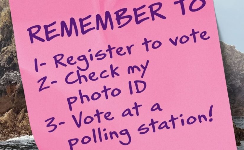 Voter ID requirement